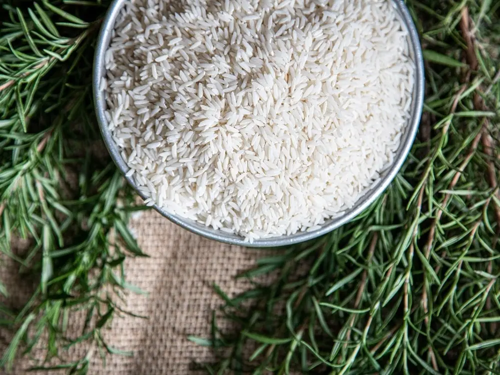 برنج طارم هاشمی چیست؟ - راهنمای خرید برنج طارم هاشمی - گالش