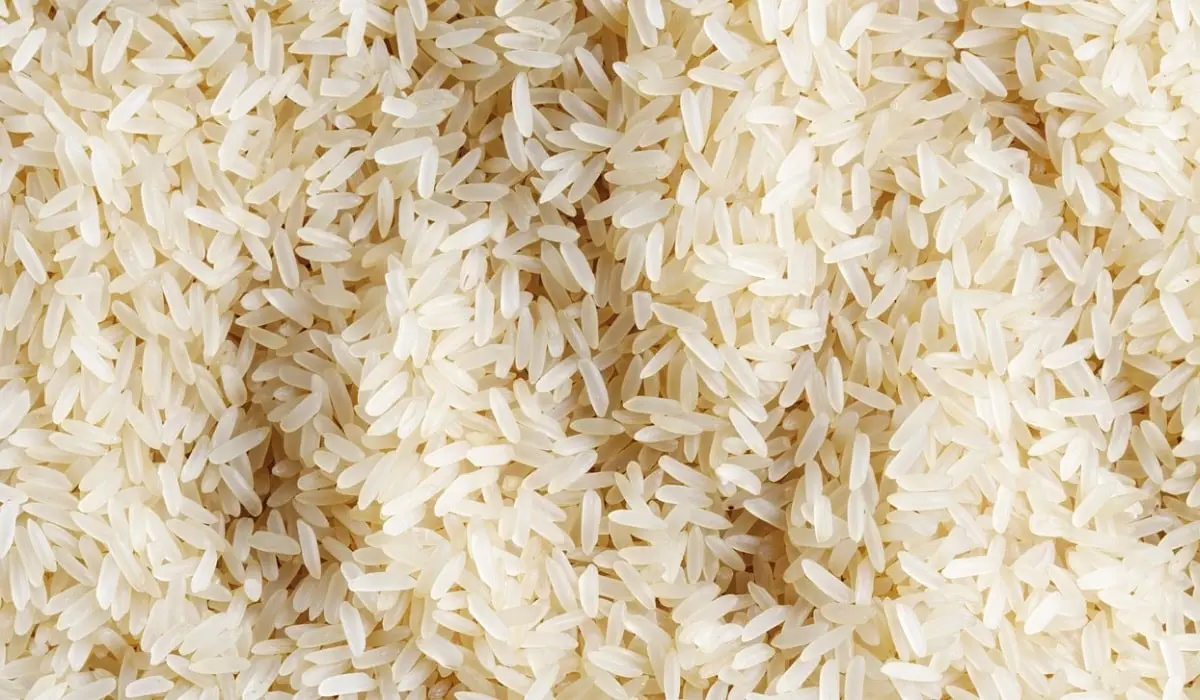 برنج ندا چیست و چه خواصی دارد؟ - گالش - خرید مستقیم برنچ