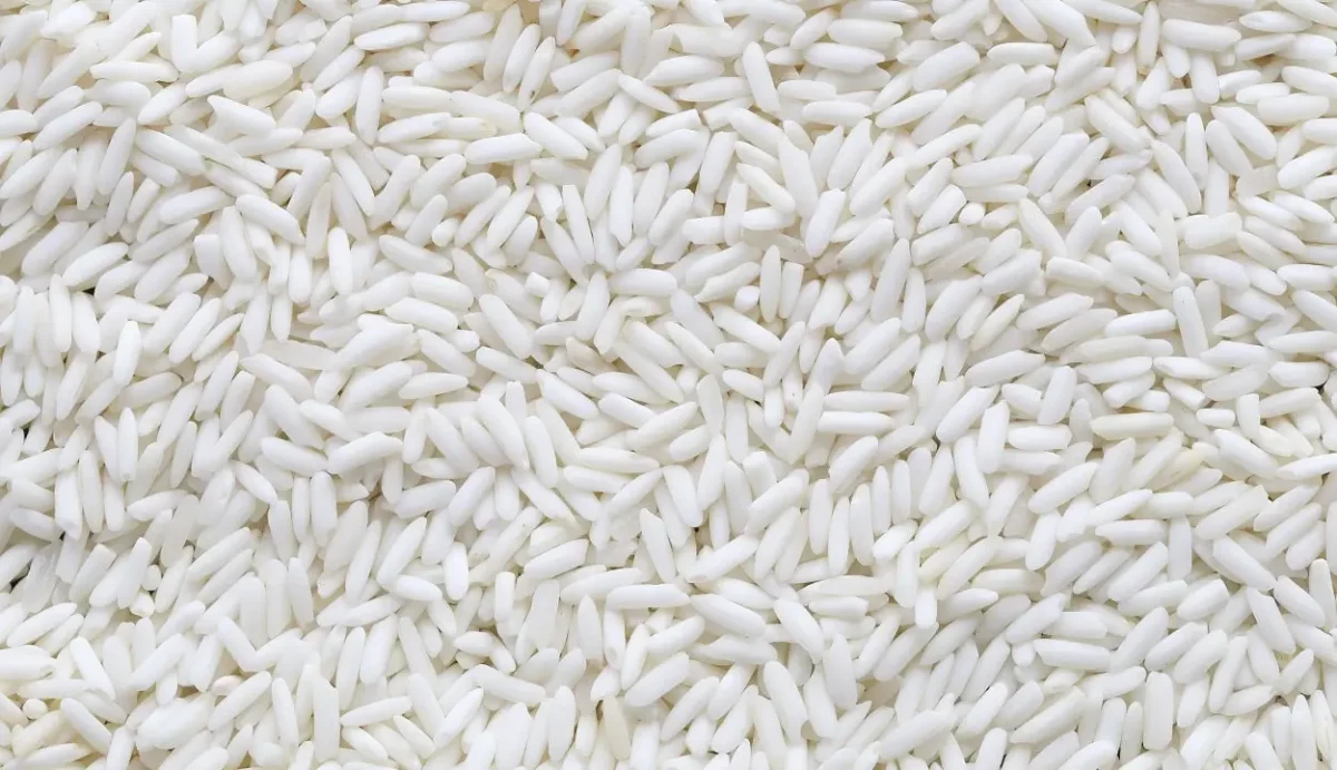 برنج تایلندی چیست و چه انواعی دارد؟ - گالش