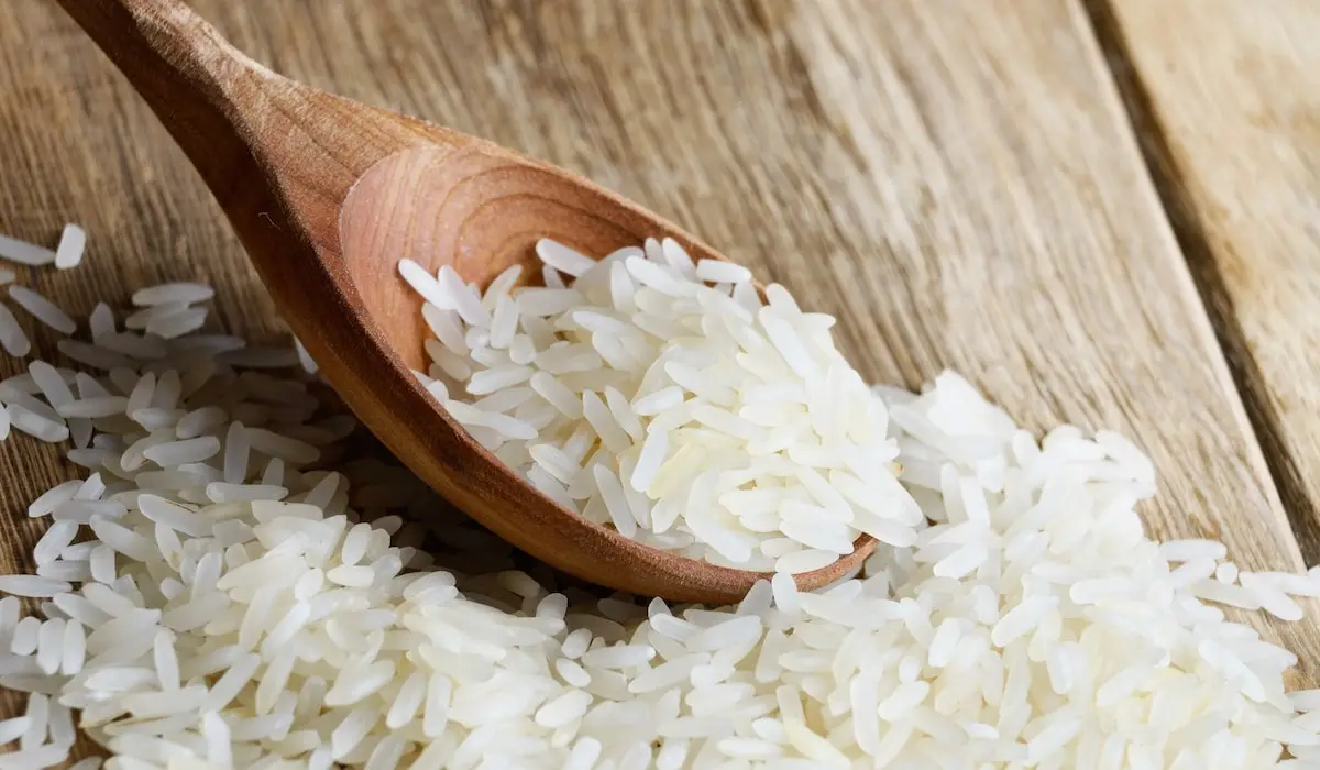 برنج پرمحصول چیست و چه خواصی دارد
